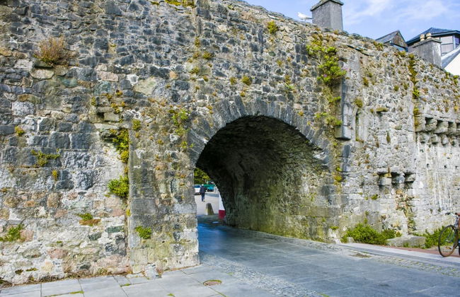 Galway Sightseeing Bus - Foto 4