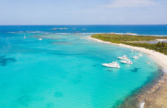 Escursione a Cayo Icacos in catamarano - Foto 6