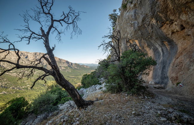 Senderismo por el golfo de Orosei - Foto 3