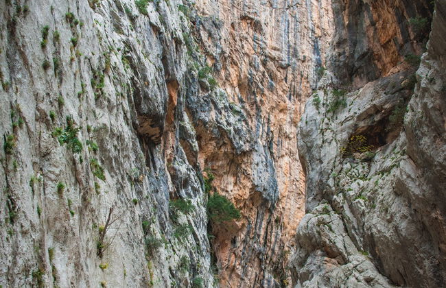 Senderismo por el golfo de Orosei - Foto 2