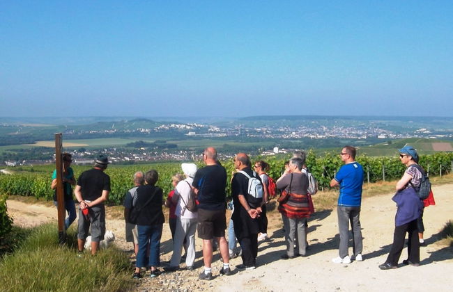 Mutigny Vineyards Tour - Photo 4
