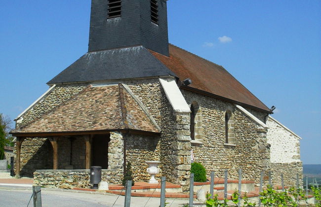 Mutigny Vineyards Tour - Photo 2