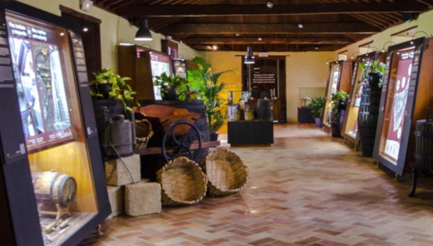 Tour gastronómico por los guachinches de Tenerife - Foto 5