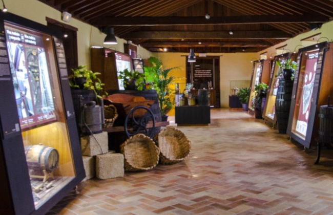 Tour gastronómico por los guachinches de Tenerife - Foto 5