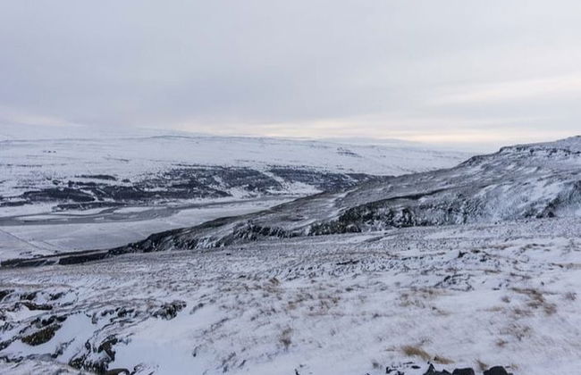 Observation de rennes dans la vallée de Breiðdalsvík - Photo 3