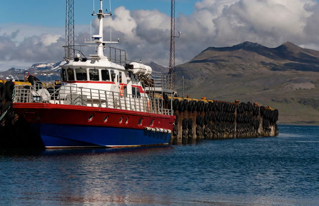 Ólafsvík Whale Watching - Photo 1