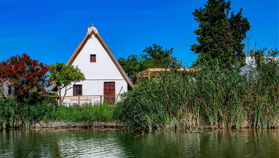 Free tour por la Albufera - Foto 1