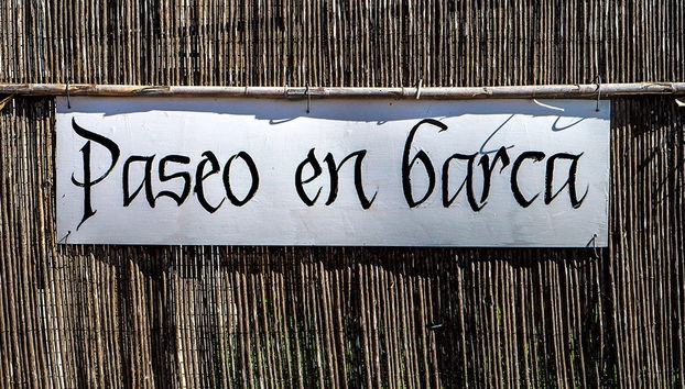 Free tour por la Albufera - Foto 5