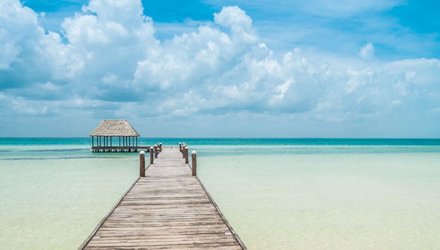 Day Trip to Isla Holbox - Foto 3