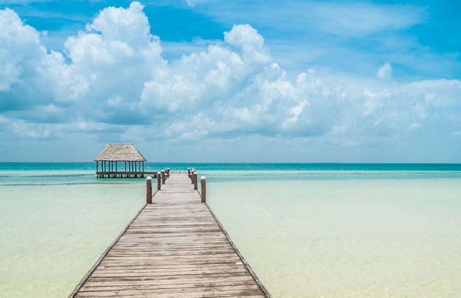 Isla Holbox Day Trip - Foto 3