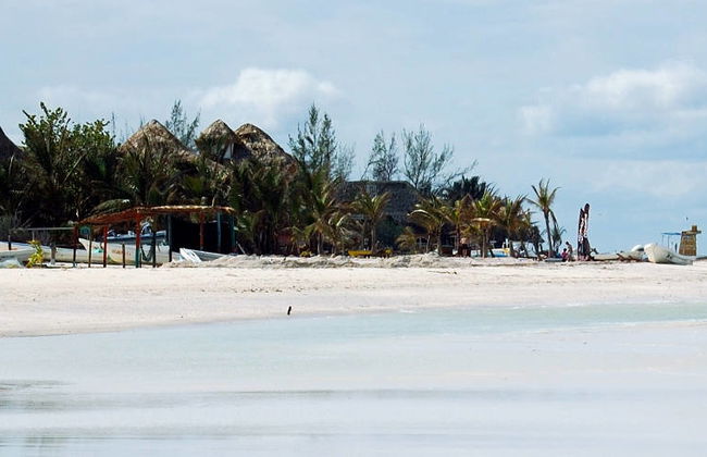 Excursión a la isla Holbox - Foto 3