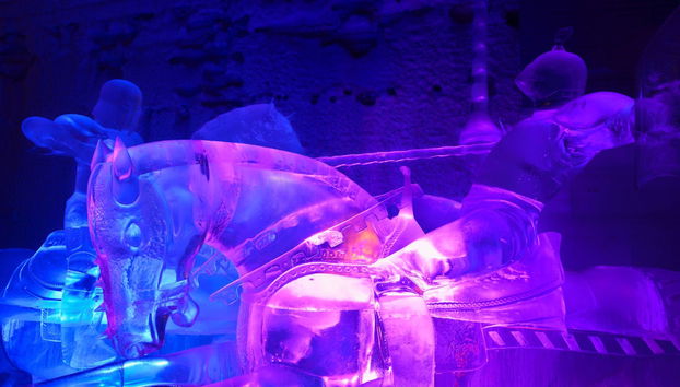 Chena Hot Springs Tour - Foto 4