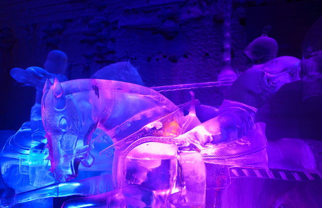 Tour de la aurora boreal + Termas de Chena - Foto 3