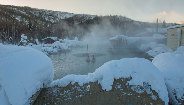 Chena Hot Springs & Northern Lights Tour - Foto 2