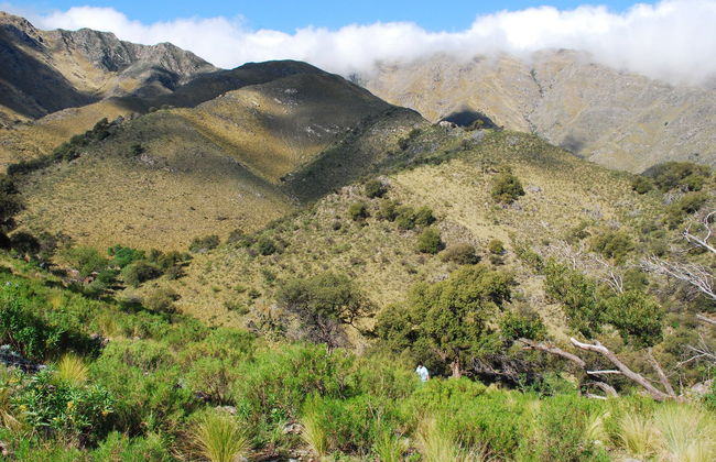 Excursión a Villa de Merlo y La Toma - Foto 6
