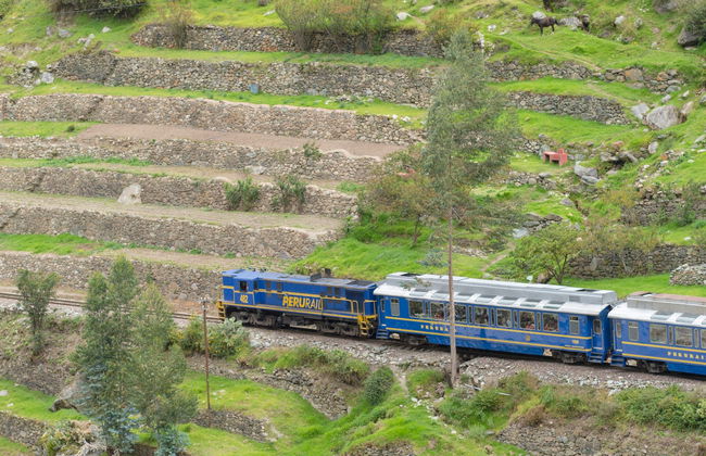Train pour le Machu Picchu - Photo 3
