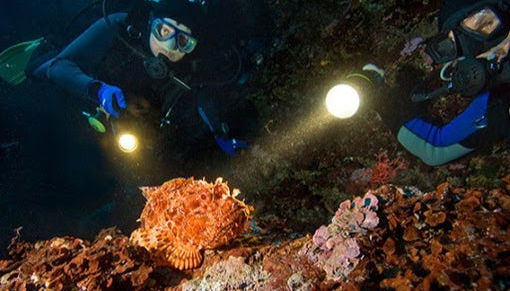 Buceo en Unawatuna - Foto 4