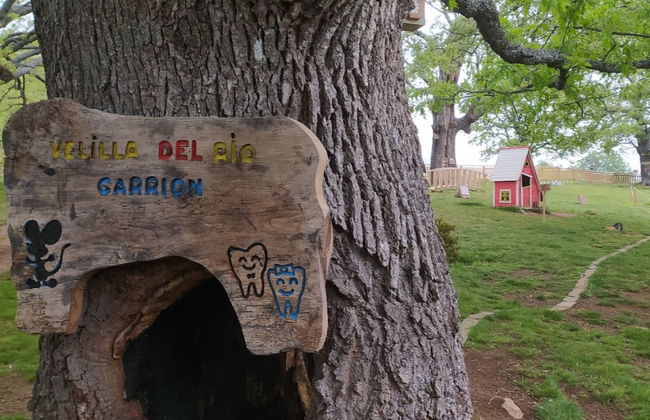 Entrada para la Ruta del Ratoncito Pérez - Foto 5
