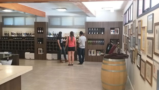 Caxias do Sul & Flores da Cunha Wine Tour - Foto 2