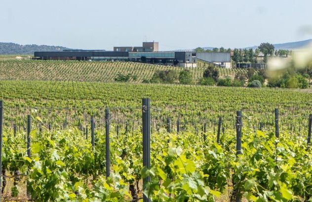 Visita a las bodegas Habla - Photo 6