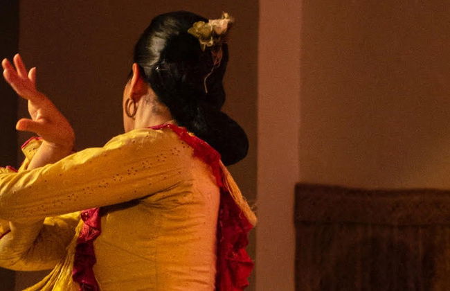 Spectacle de flamenco au Tablao de la Villa - Photo 6