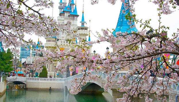 Lotte World with Transport - Foto 3