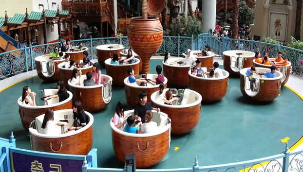 Lotte World with Transport - Foto 4