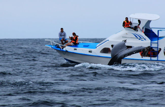 Beginner Scuba Diving - Foto 3