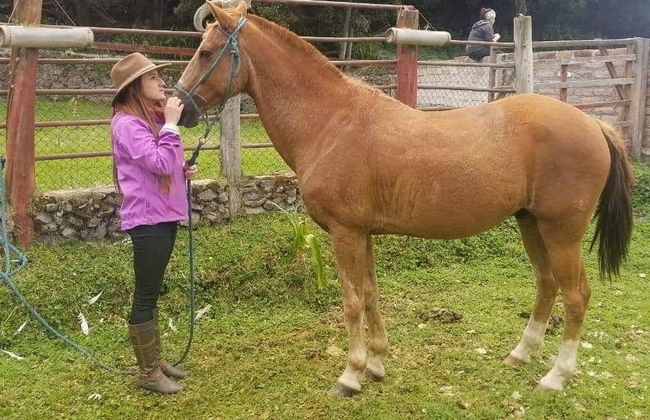 Tour a cavalo pelos arredores de Quero - Foto 1
