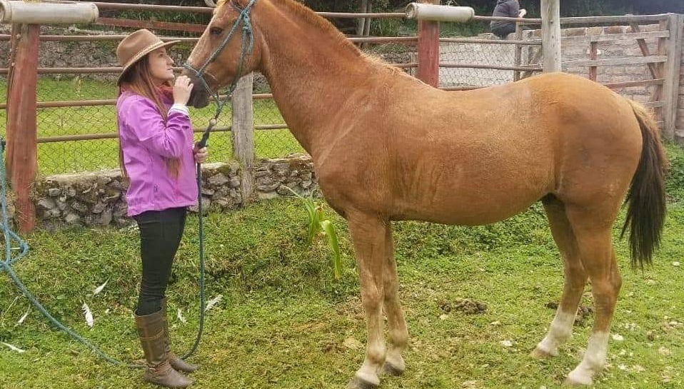 Tour a cavalo pelos arredores de Quero - Foto 1