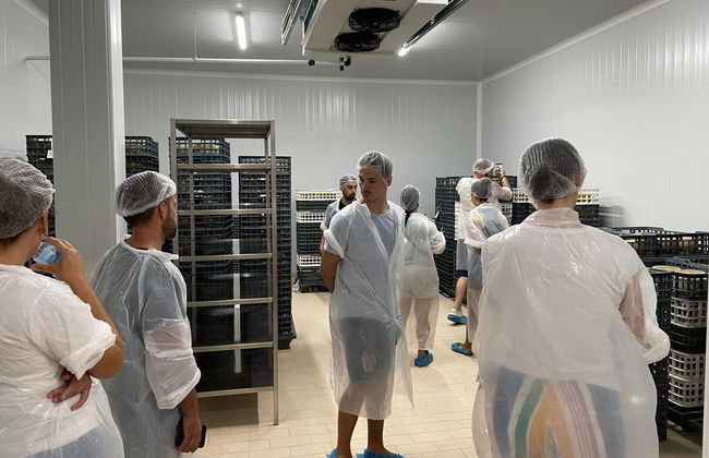 Visita a una fábrica de queso con degustación y taller - Foto 4