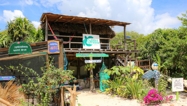 Excursion to Sandy Turtle Conservation Center - Foto 2