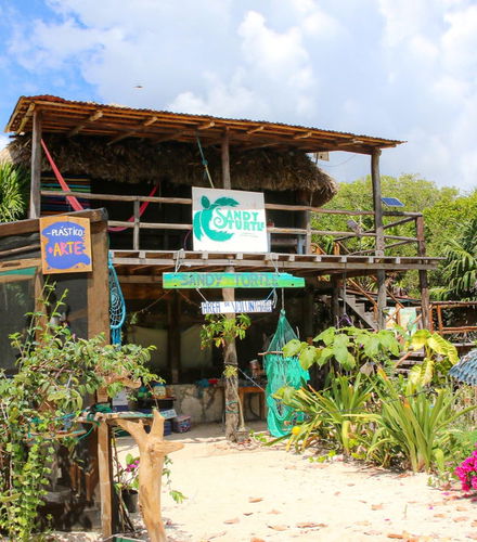 Foto de Excursión a Sandy Turtle