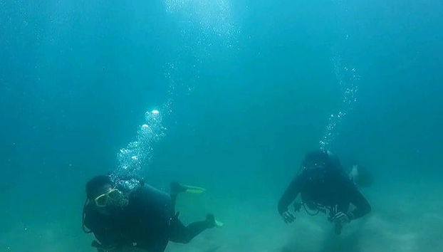 Ubatuba Beginner Scuba Diving - Photo 2