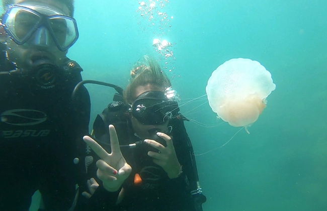 Bautismo de buceo en Ubatuba - Foto 3