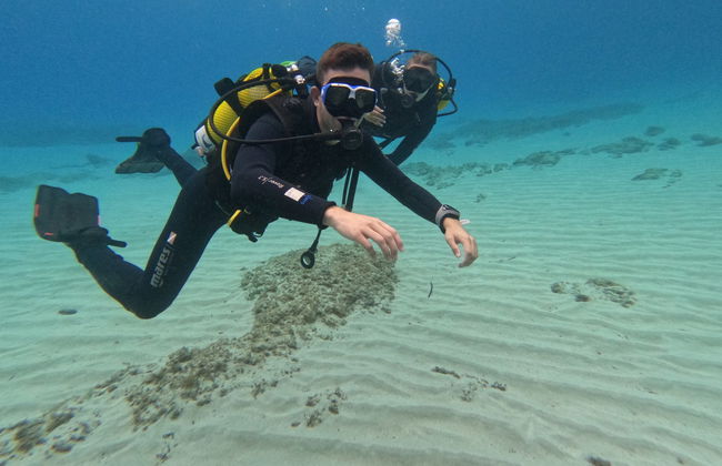Bautismo de buceo en Son Xoriguer - Foto 4