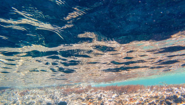 Batismo de mergulho em Son Xoriguer - Foto 3