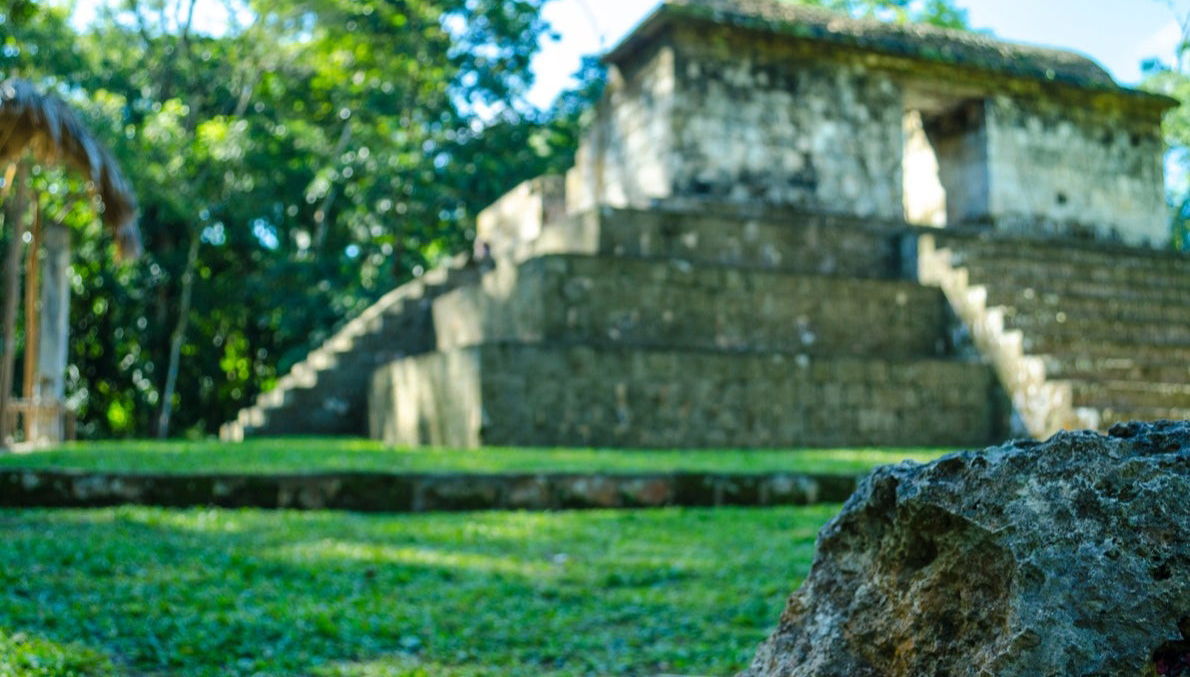 Excursión a El Ceibal - Foto 1