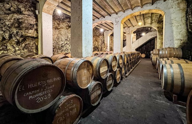 Private Wine Tour to the Costa Blanca Wineries - Photo 11