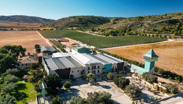 Private Wine Tour to the Costa Blanca Wineries - Photo 3