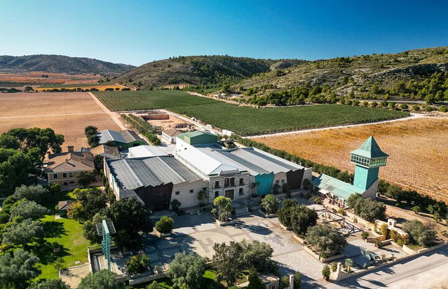 Private Wine Tour to the Costa Blanca Wineries - Photo 3