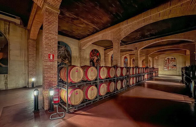 Private Wine Tour to the Costa Blanca Wineries - Photo 1