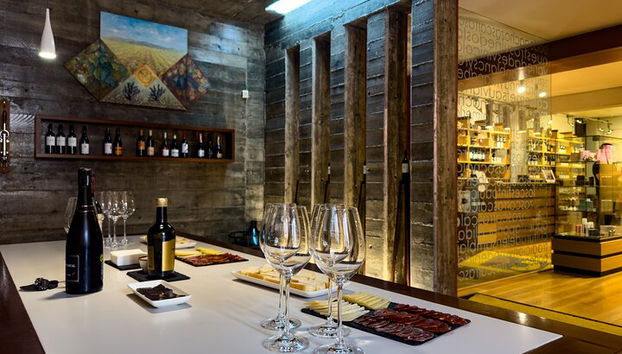 Private Wine Tour to the Costa Blanca Wineries - Photo 5