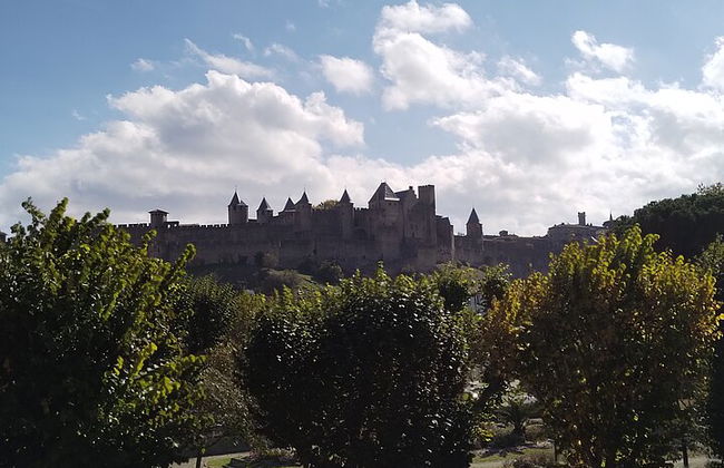 Carcassonne: Exclusive Private Guided Tour - Photo 9