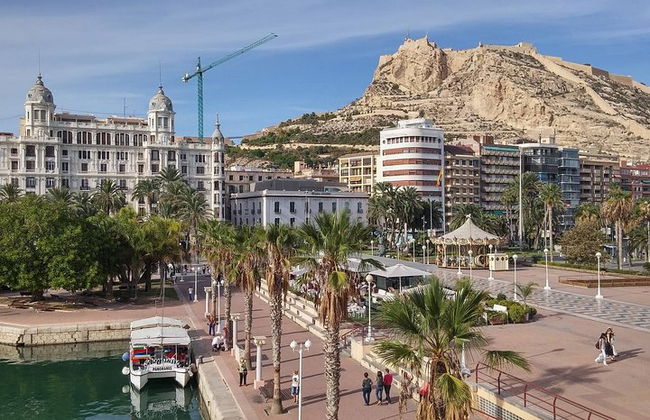 Privater Transfer von Denia zum Flughafen Alicante - Elche (ALC) - Foto 2