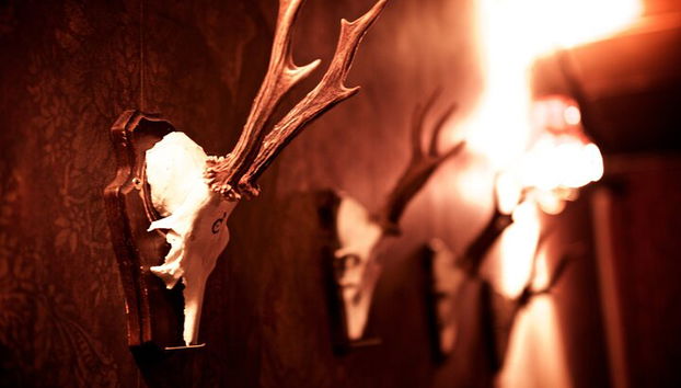 Hirschschädel im Haunted House Escape Room