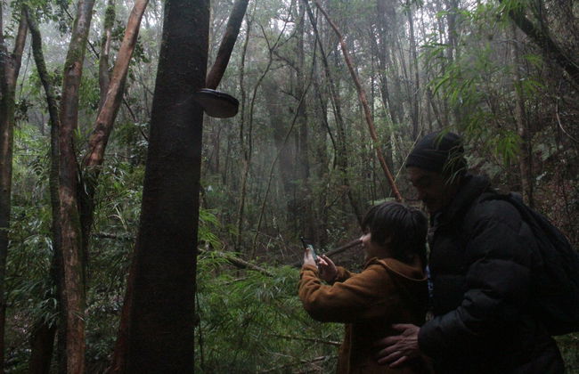 Tour por la reserva ecológica Senderos del Bosque - Foto 3