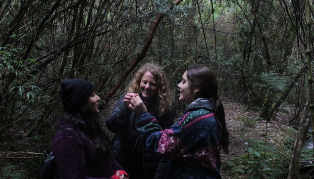 Excursion dans la réserve écologique Senderos del Bosque - Photo 5