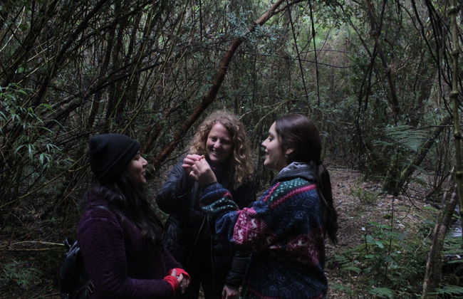 Tour por la reserva ecológica Senderos del Bosque - Foto 6