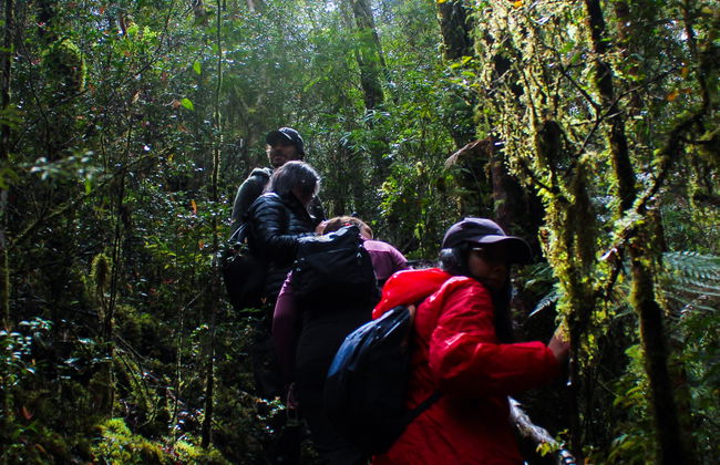 Tour por la reserva ecológica Senderos del Bosque - Foto 8